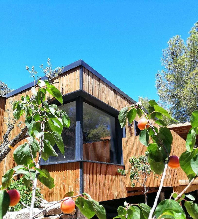 Villa Occitana Calvisson Exterior foto